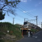 シン・ゴジラ爆地巡礼!鎌倉を北上、破壊神は再び都心を目指す